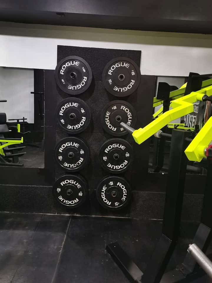 Discuri Rogue — Sport Center Suceava