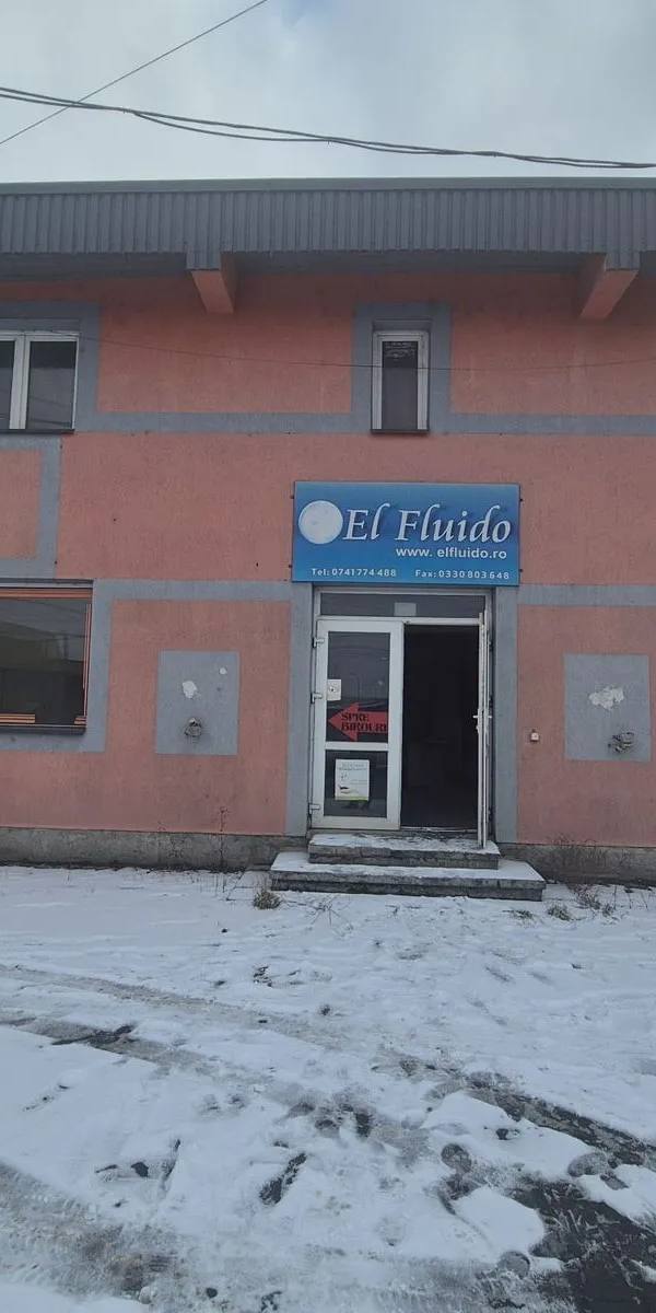 Clădire multifuncțională zona Traian Vuia de vânzare