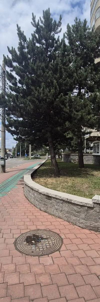Spatiu comercial George Enescu de vanzare